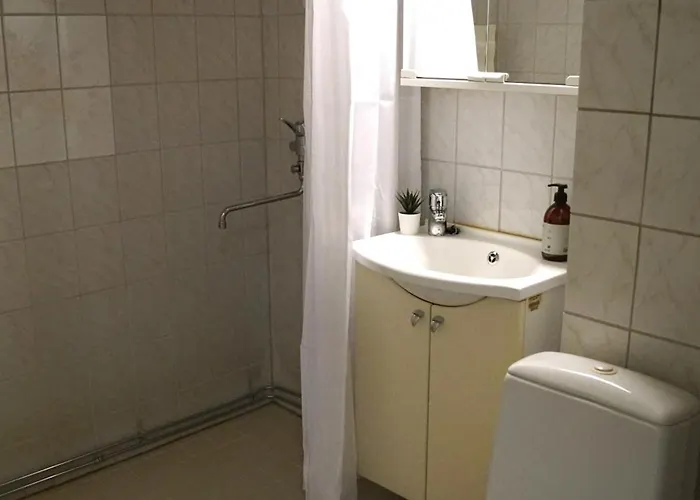 Borg Annikki 公寓 *