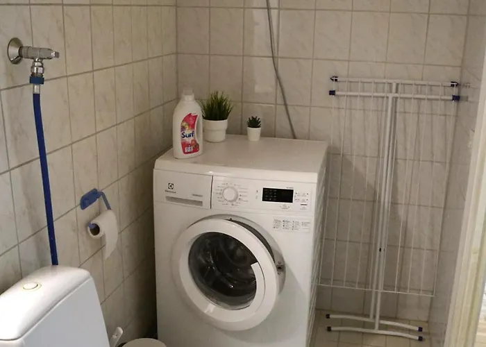 Borg Annikki * 波里